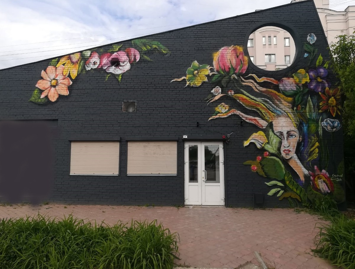 За апрель-май во Владимире появились сразу три новых граффити. Увидеть их можно у ВлГУ, на проспекте Строителей и рядом с “РусьКино”