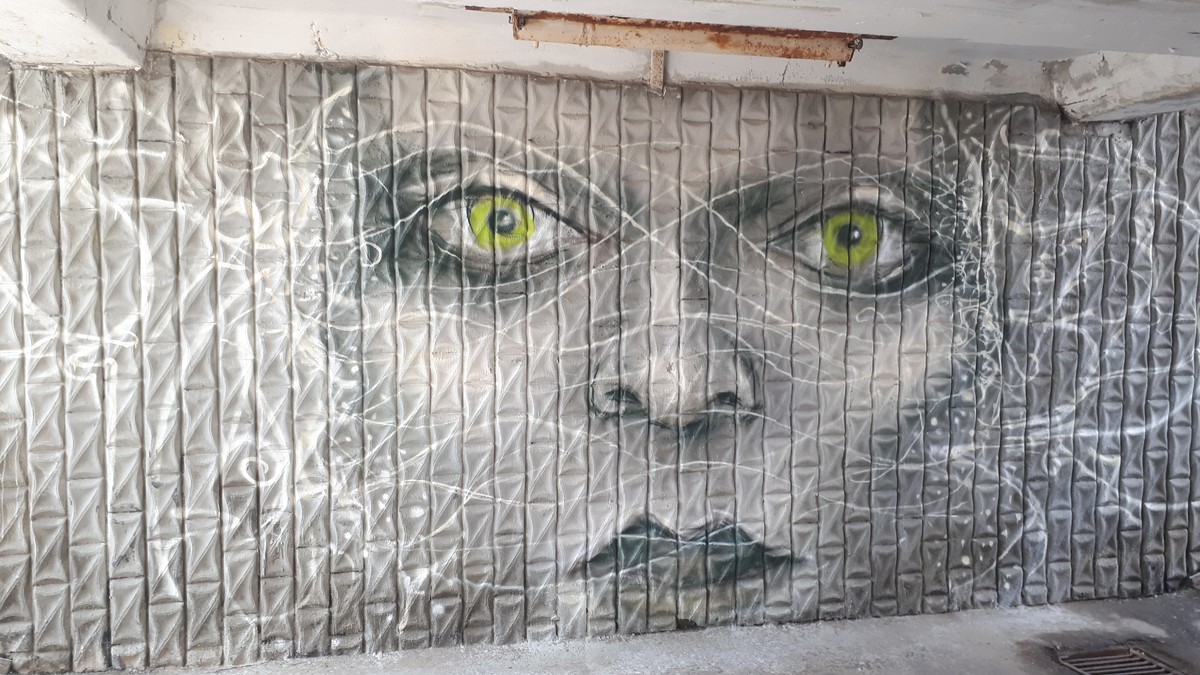 За апрель-май во Владимире появились сразу три новых граффити. Увидеть их можно у ВлГУ, на проспекте Строителей и рядом с “РусьКино”