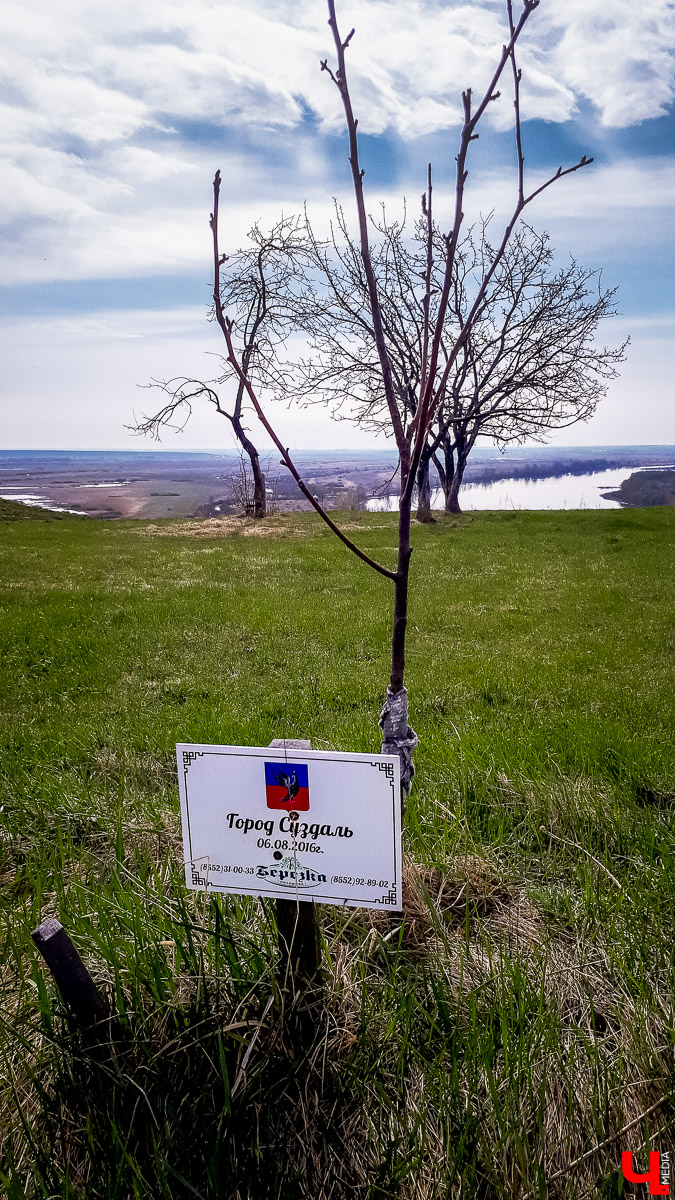 Обширная программа для тура выходного дня или небольшого отпуска. Мы осмотрели Чебоксары, Набережные Челны, Елабугу и Свияжск и делимся опытом