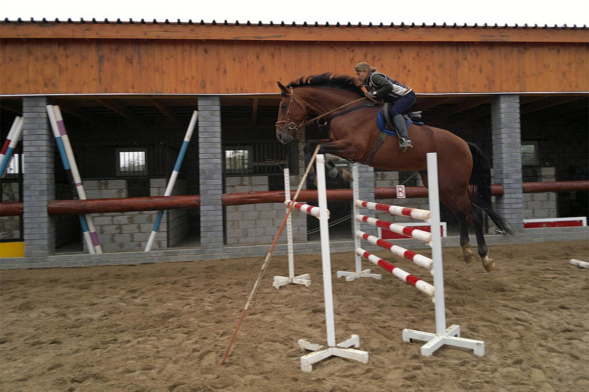 Ольга Анохина