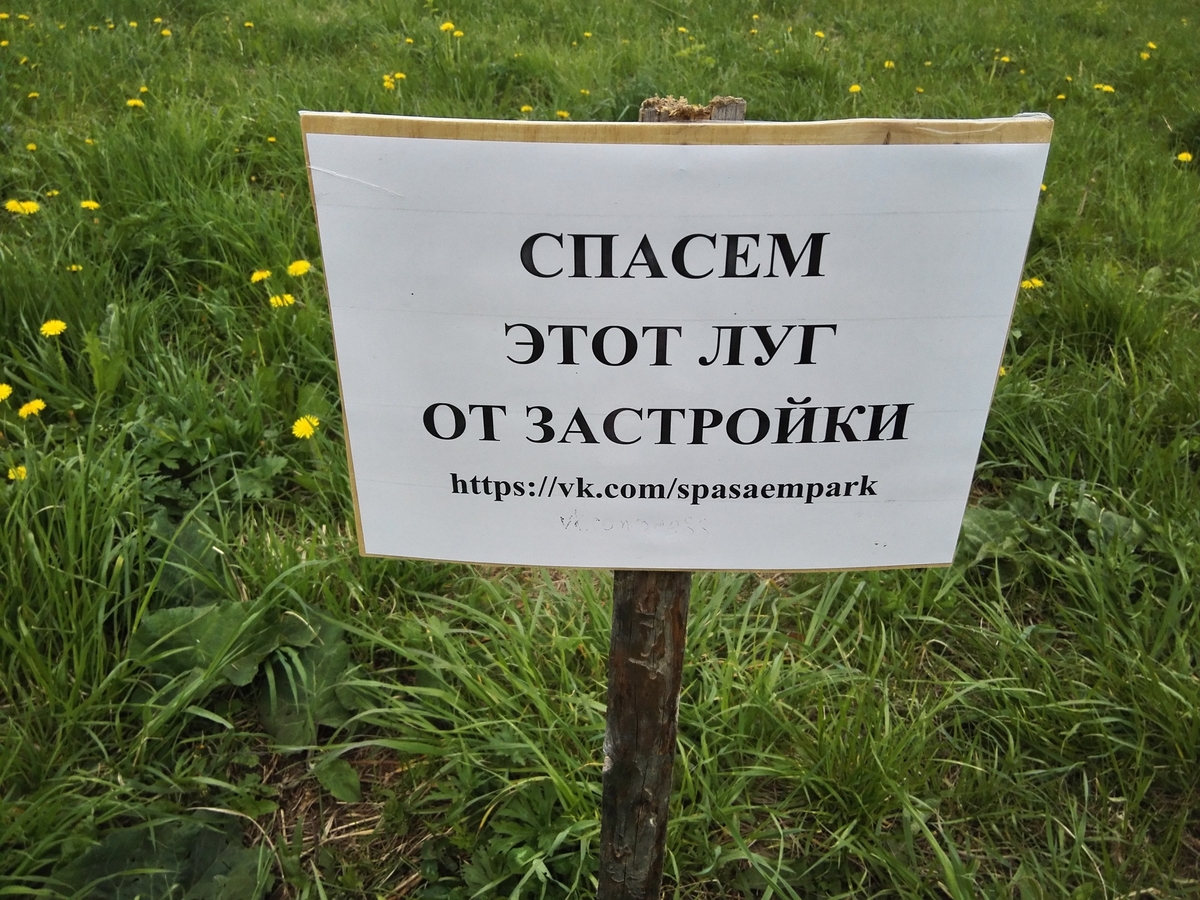 Во Владимире продолжается борьба за парк “Дружба”. Мэрия планирует выстроить рядом с зеленой зоной новый микрорайон. Активисты уверены, что из-за этого город лишится любимого места отдыха. В защиту парка запустили флешмоб