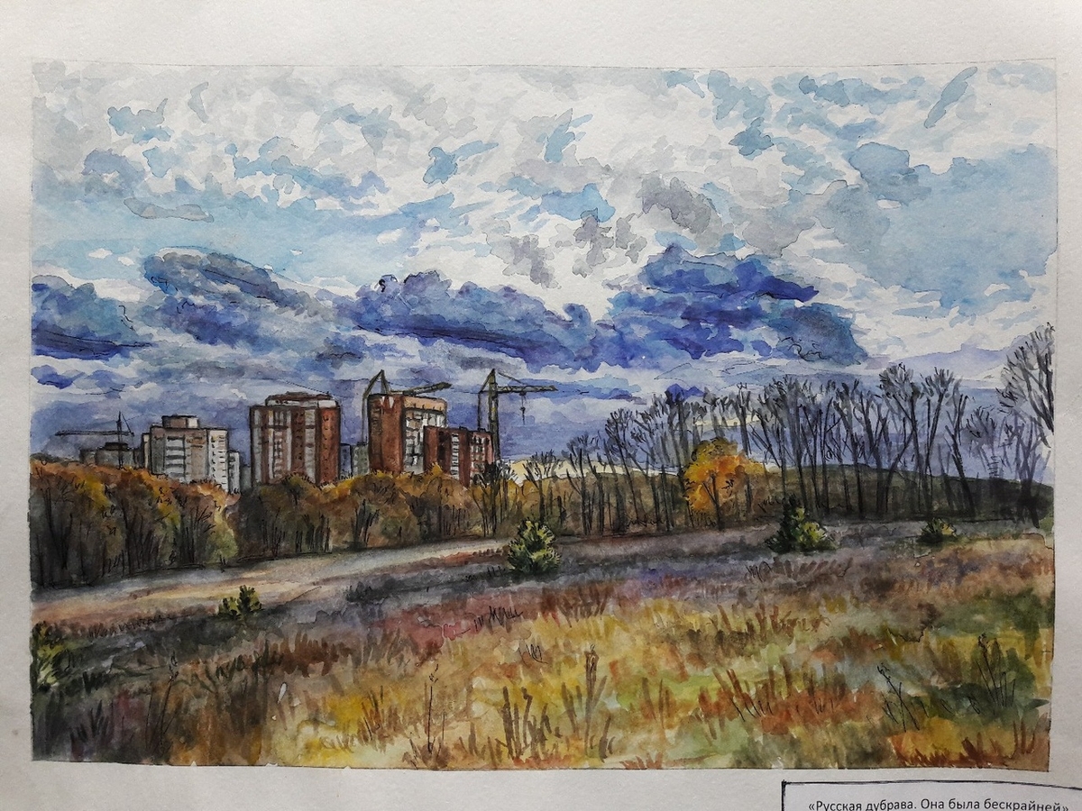 Во Владимире продолжается борьба за парк “Дружба”. Мэрия планирует выстроить рядом с зеленой зоной новый микрорайон. Активисты уверены, что из-за этого город лишится любимого места отдыха. В защиту парка запустили флешмоб