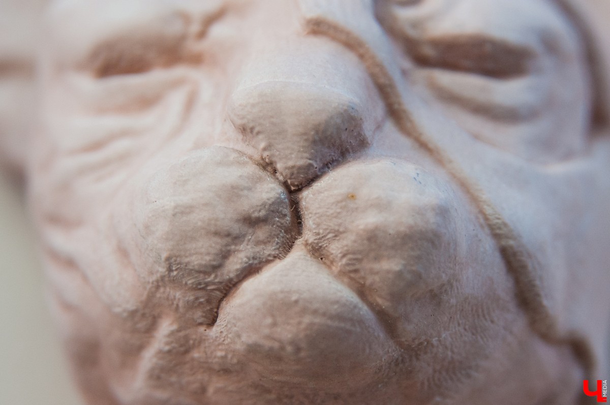 Московский скульптор Антон Тищенко приклеил на здание во Владимире гипсовую голову кошки. Кроме нашего города, он проделал подобное во многих европейских городах