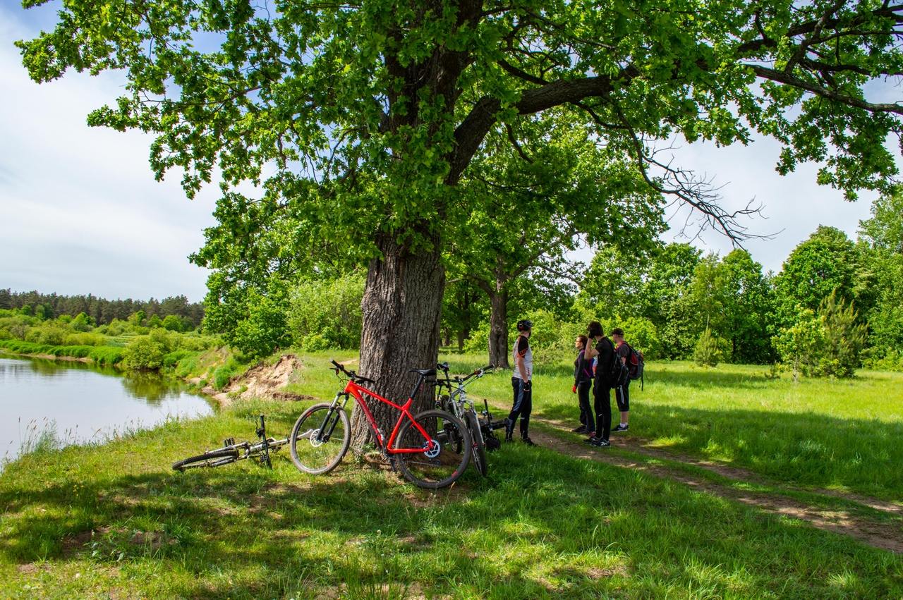 По городу на велосипеде