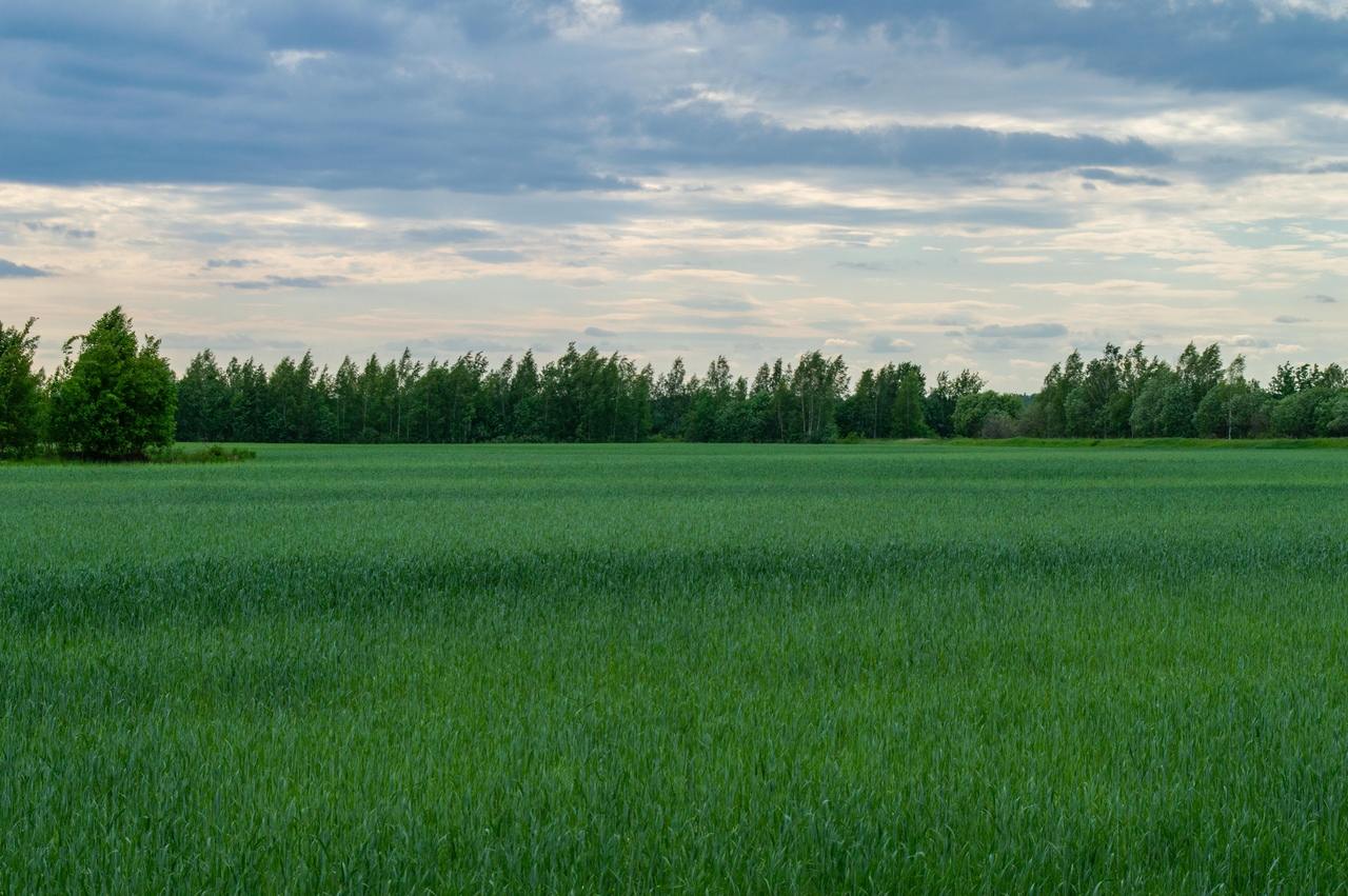 По городу на велосипеде