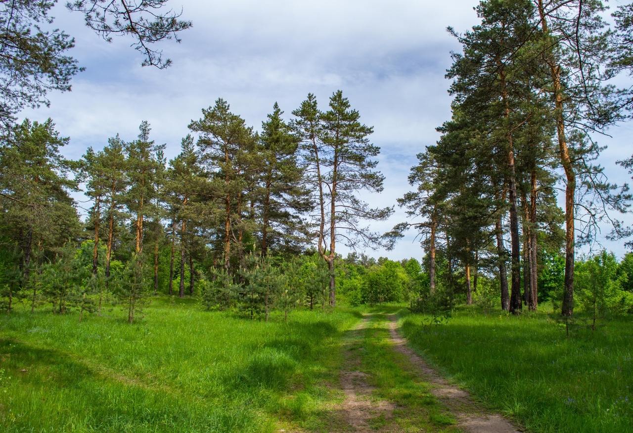 По городу на велосипеде