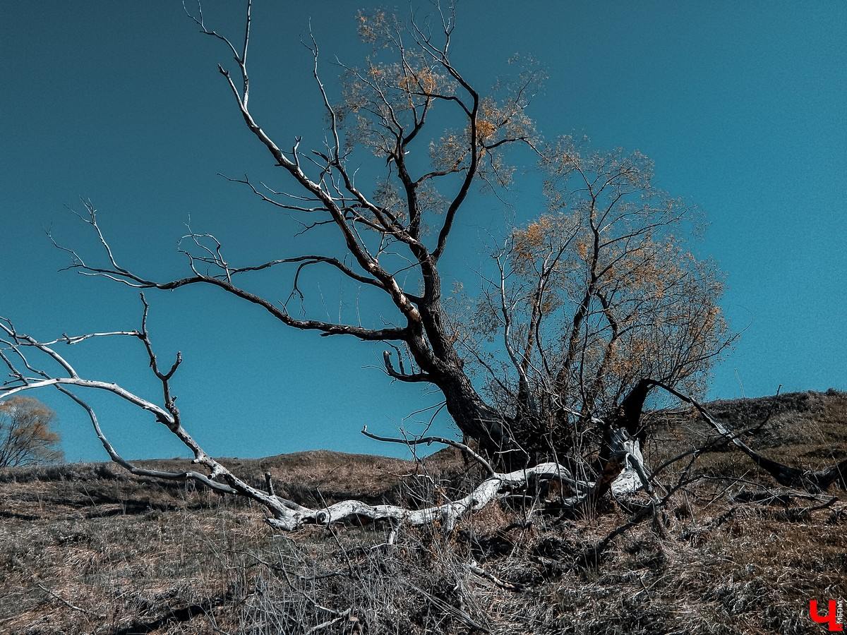 Араповские пещеры в Тульской области