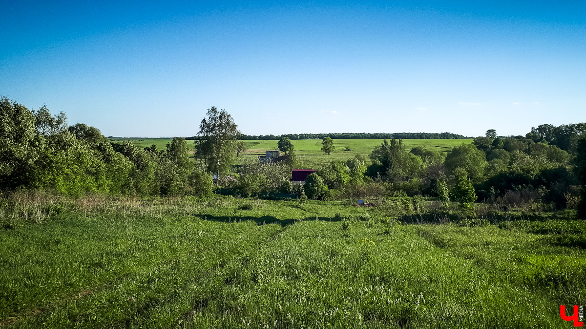 Мы побывали в старинном селе Яновец Суздальского района. Рассказываем об истории места и показываем заброшенную церковь Космы и Дамиана.