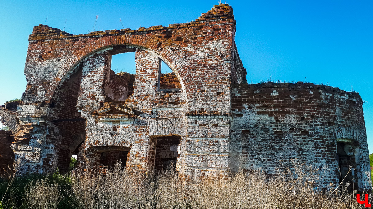 Мы побывали в старинном селе Яновец Суздальского района. Рассказываем об истории места и показываем заброшенную церковь Космы и Дамиана.