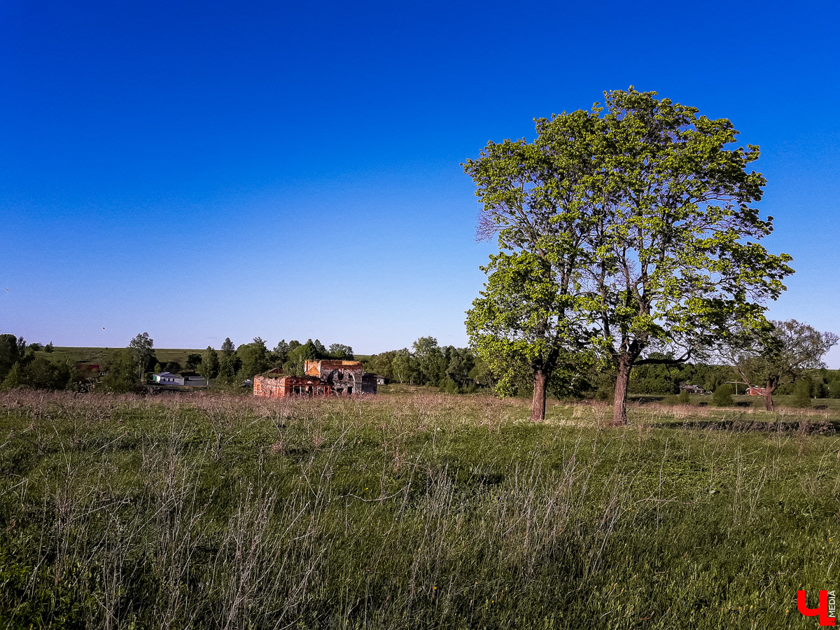 Мы побывали в старинном селе Яновец Суздальского района. Рассказываем об истории места и показываем заброшенную церковь Космы и Дамиана.