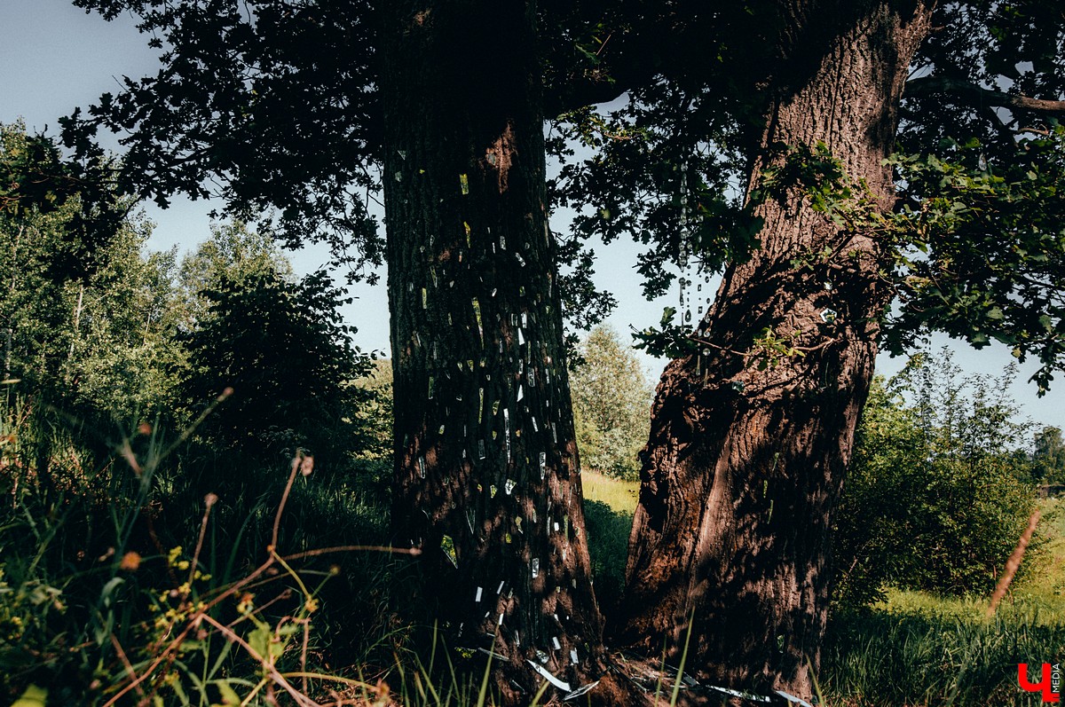 Под Владимиром прошел фестиваль ленд-арта “Чисто поле”. Участники жили там всю неделю и создали арт-объекты на берегу Клязьмы.