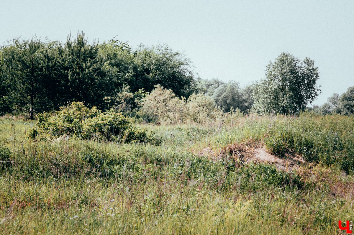 Под Владимиром прошел фестиваль ленд-арта “Чисто поле”. Участники жили там всю неделю и создали арт-объекты на берегу Клязьмы.