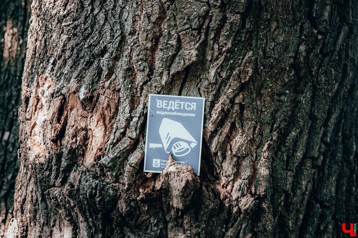 Под Владимиром прошел фестиваль ленд-арта “Чисто поле”. Участники жили там всю неделю и создали арт-объекты на берегу Клязьмы.