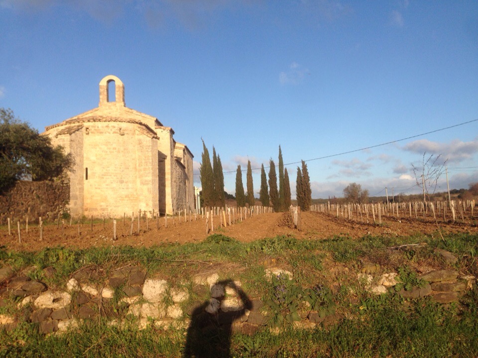Владимирский художник Михаил Герасимов побывал на пленэре во Франции, по итогам которого прошла выставка. Живописец рассказал о поездке, о том, как создавал полотна.