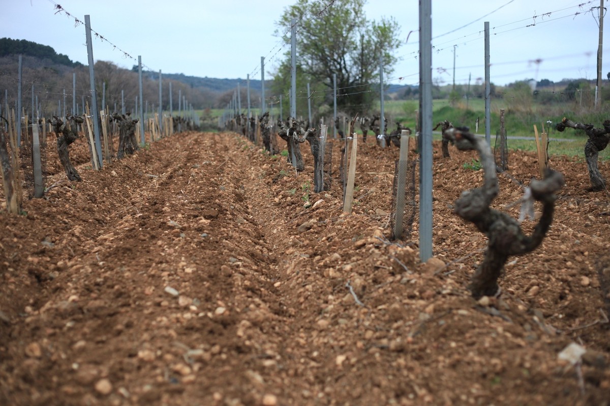 Владимирский художник Михаил Герасимов побывал на пленэре во Франции, по итогам которого прошла выставка. Живописец рассказал о поездке, о том, как создавал полотна.