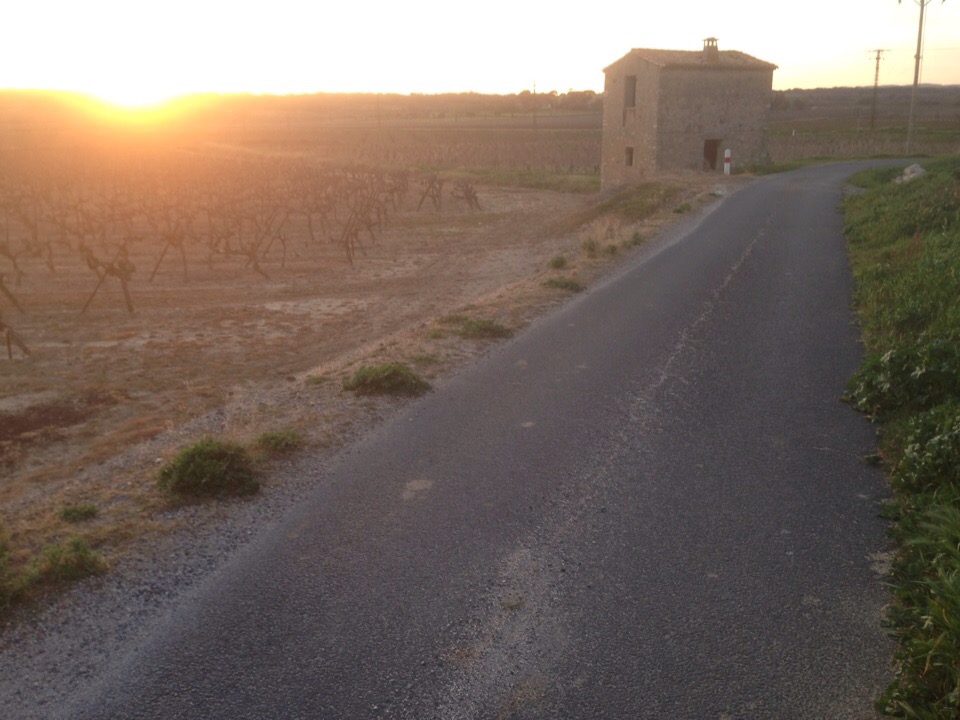 Владимирский художник Михаил Герасимов побывал на пленэре во Франции, по итогам которого прошла выставка. Живописец рассказал о поездке, о том, как создавал полотна.