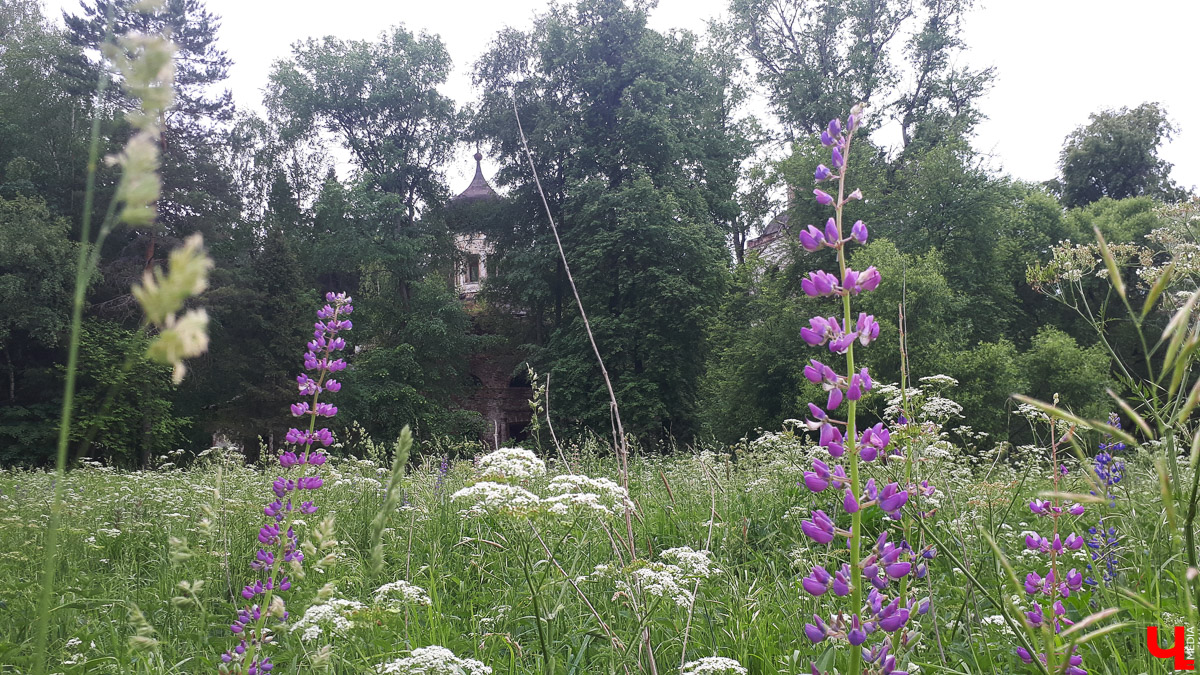 Рассказываем о необычном месте в городской черте. Деревня Ширманиха стала микрорайоном Владимира, но до сих пор это место словно стоит на краю мира. А рядом - очень красивый заброшенный храм