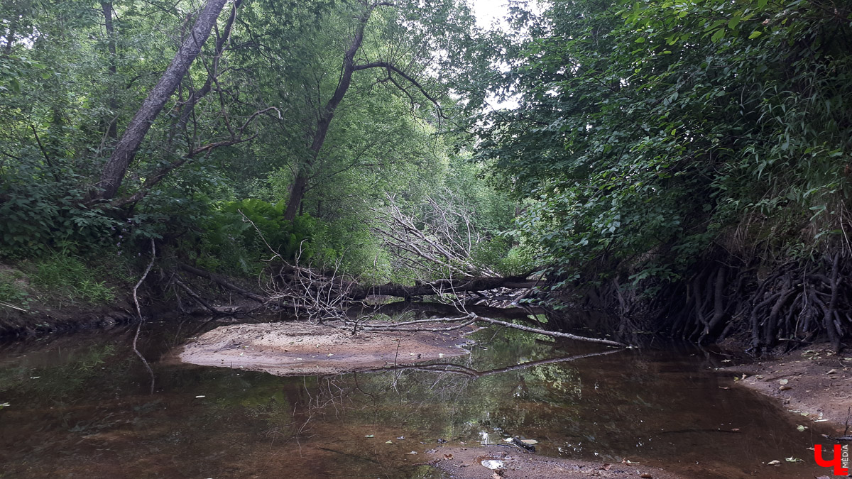 Рассказываем о необычном месте в городской черте. Деревня Ширманиха стала микрорайоном Владимира, но до сих пор это место словно стоит на краю мира. А рядом - очень красивый заброшенный храм