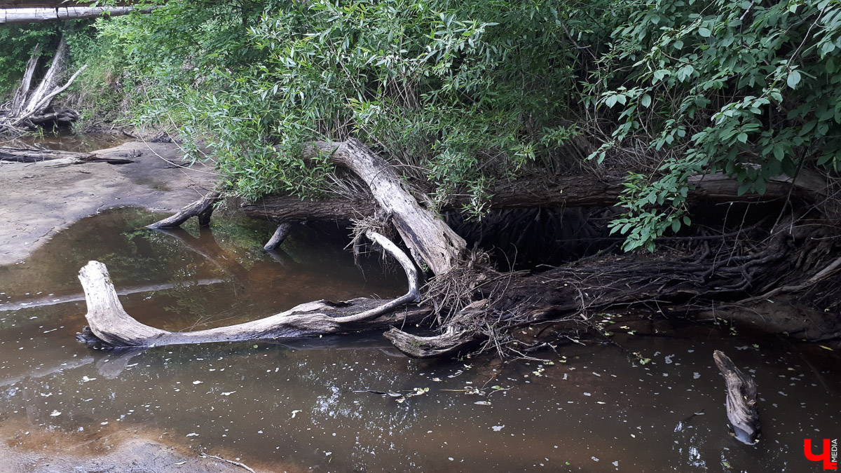 Рассказываем о необычном месте в городской черте. Деревня Ширманиха стала микрорайоном Владимира, но до сих пор это место словно стоит на краю мира. А рядом - очень красивый заброшенный храм