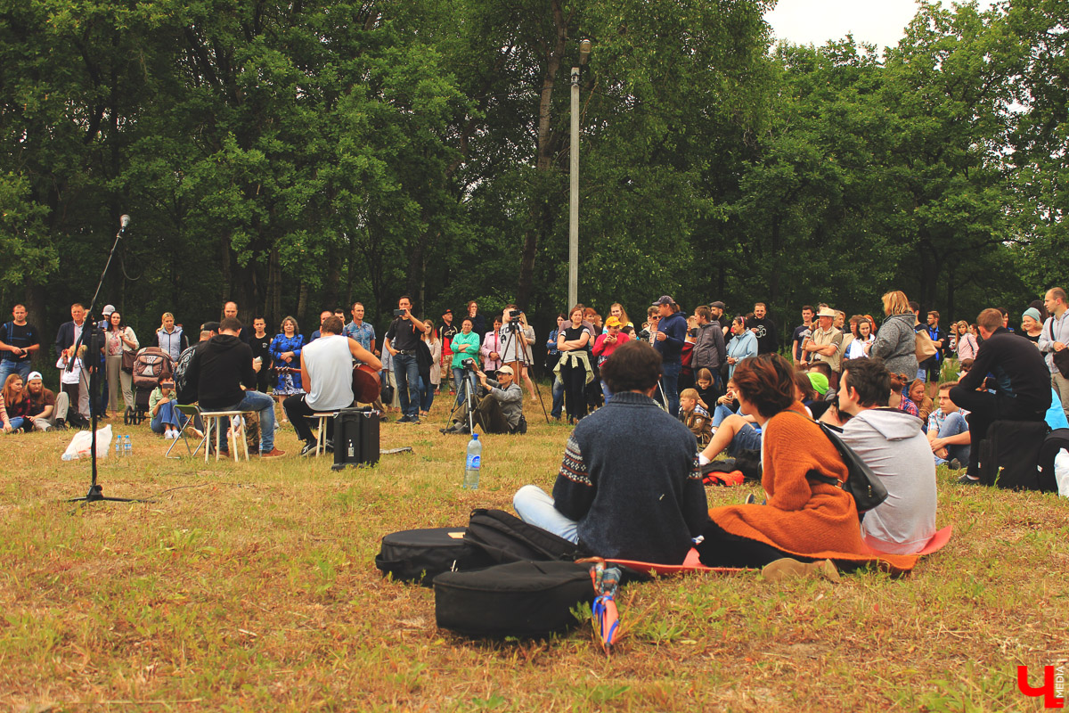 Владимирские музыканты дали концерт на лугу парка “Дружба” Эту территорию власти планируют отдать под застройку. Природа пострадает.