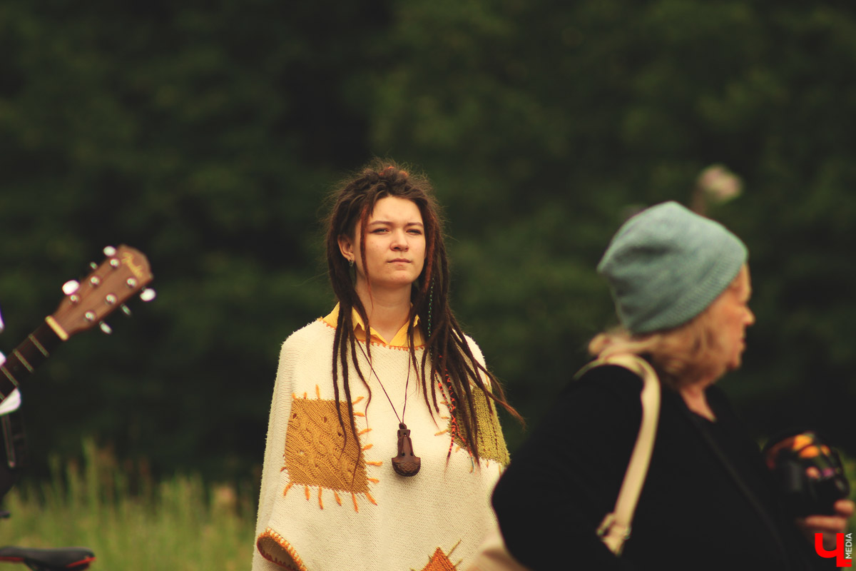 Владимирские музыканты дали концерт на лугу парка “Дружба” Эту территорию власти планируют отдать под застройку. Природа пострадает.