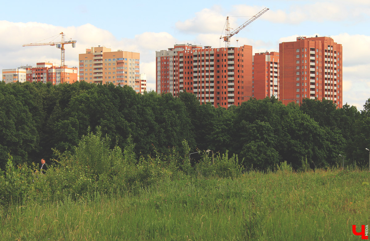 Владимирские музыканты дали концерт на лугу парка “Дружба” Эту территорию власти планируют отдать под застройку. Природа пострадает.