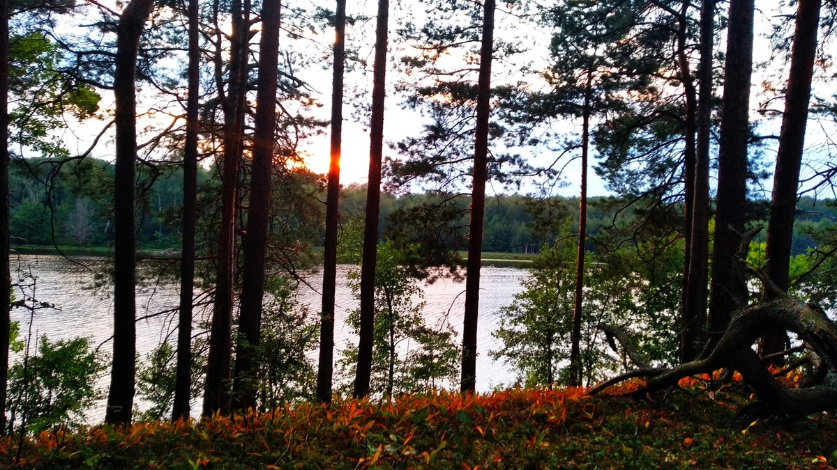 Проверьте сами, насколько правдивы мистические истории. Исследователь аномальных явлений Дмитрий Савва перечислил загадочные места региона, до которых просто добраться.