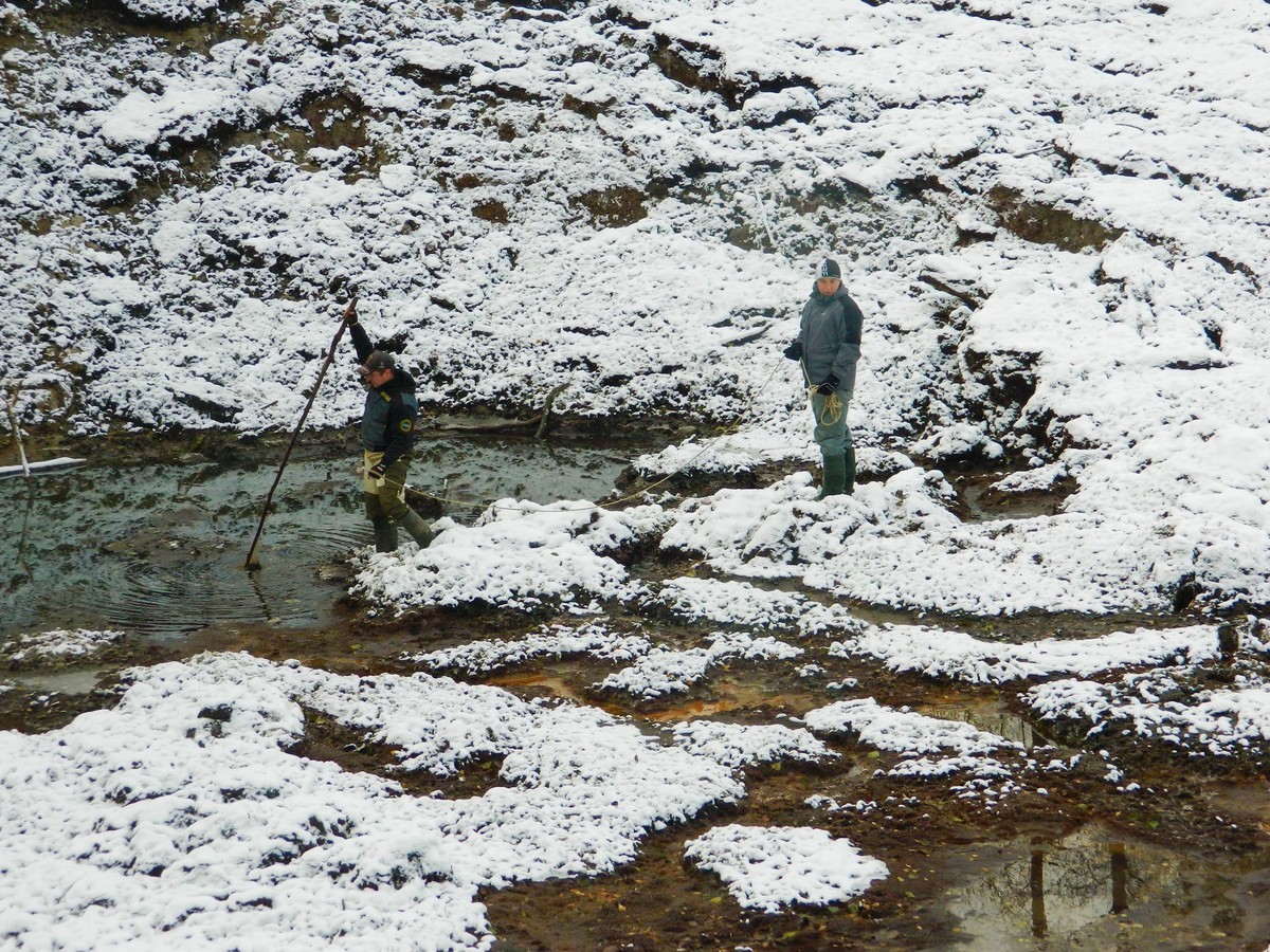Проверьте сами, насколько правдивы мистические истории. Исследователь аномальных явлений Дмитрий Савва перечислил загадочные места региона, до которых просто добраться.