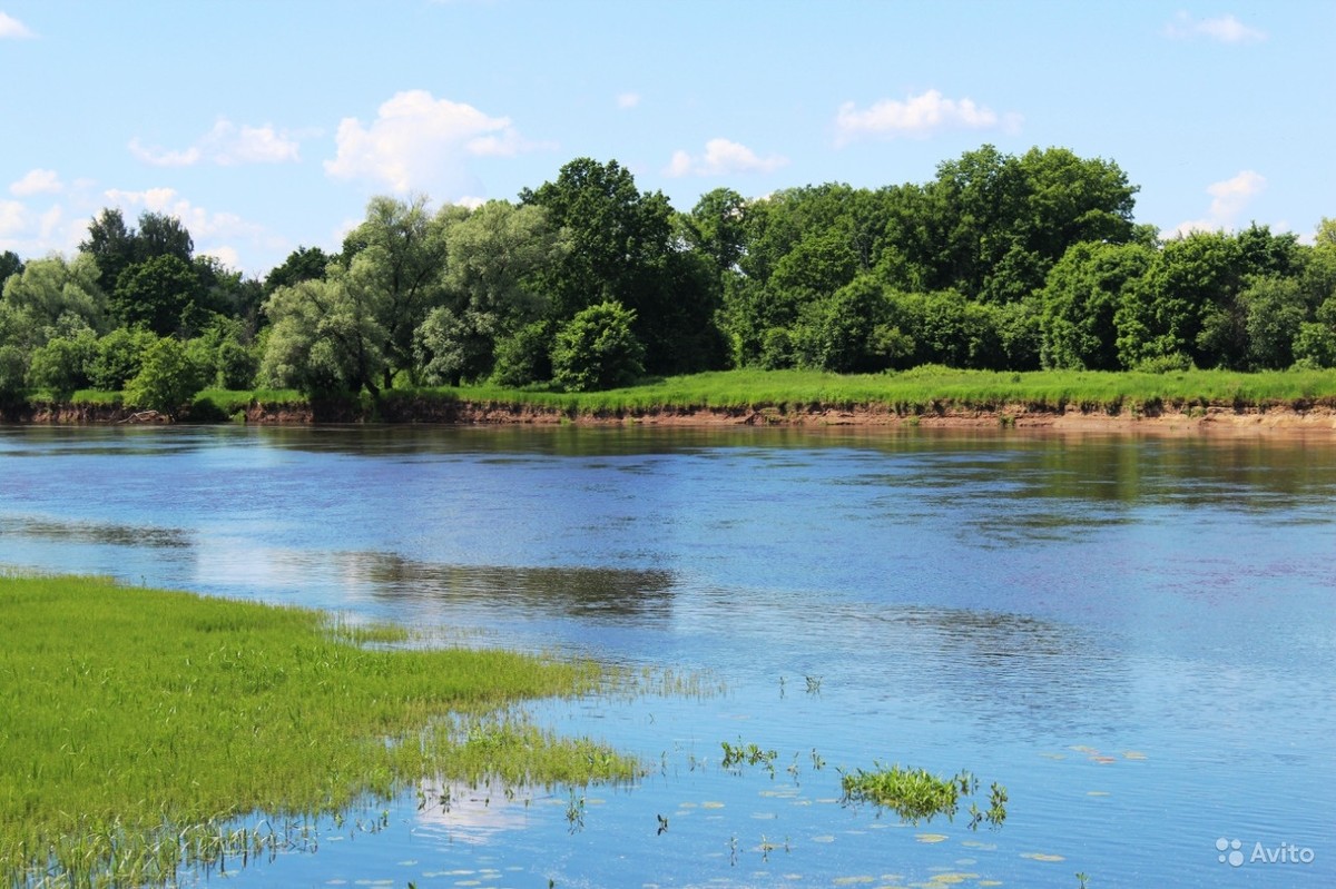 Мы изучили объявления о продаже элитных загородных домов во Владимирской области и решили рассказать о 5 удивительных вариантах