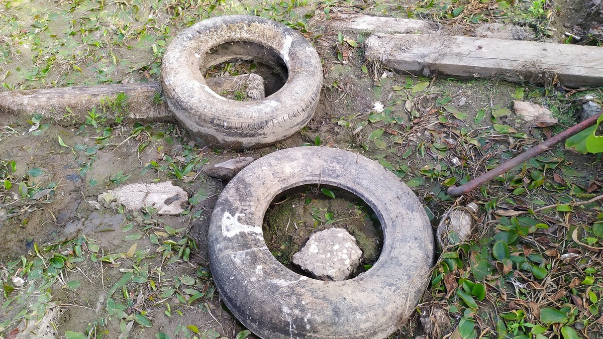 Активисты устроили субботник в парке “Дружба”. Горожане очистили дно пруда от мусора.