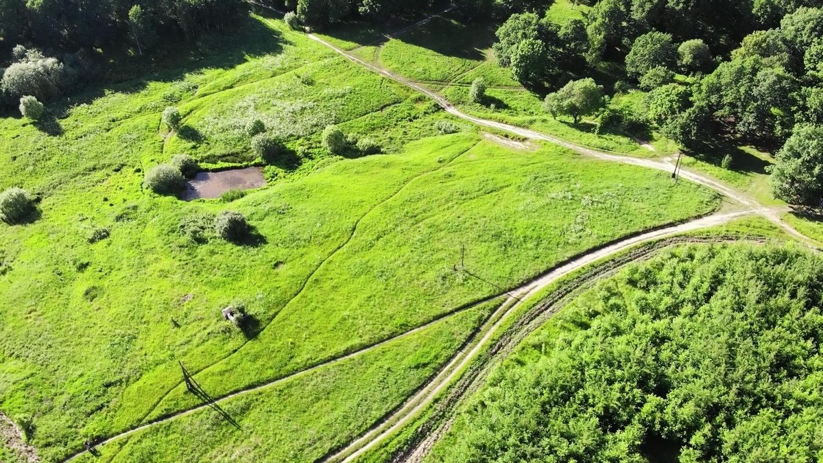 Активисты устроили субботник в парке “Дружба”. Горожане очистили дно пруда от мусора.