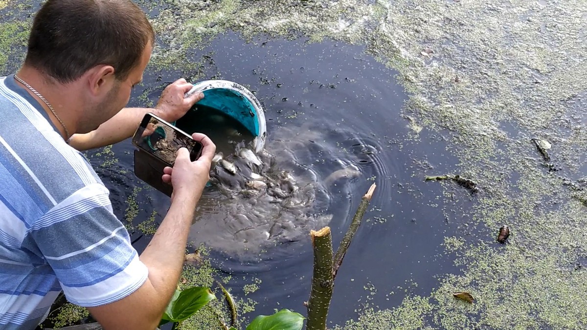 Активисты устроили субботник в парке “Дружба”. Горожане очистили дно пруда от мусора.