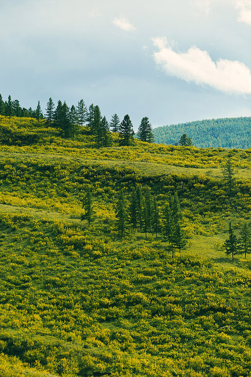 7 владимирских ребят отправились на Алтай, причем на русской машине. Добирались до места земляки 3 дня. По пути посетили множество городов. А по приезде рассказали нам, как сэкономить и что посмотреть в одном из самых красивых регионов страны.