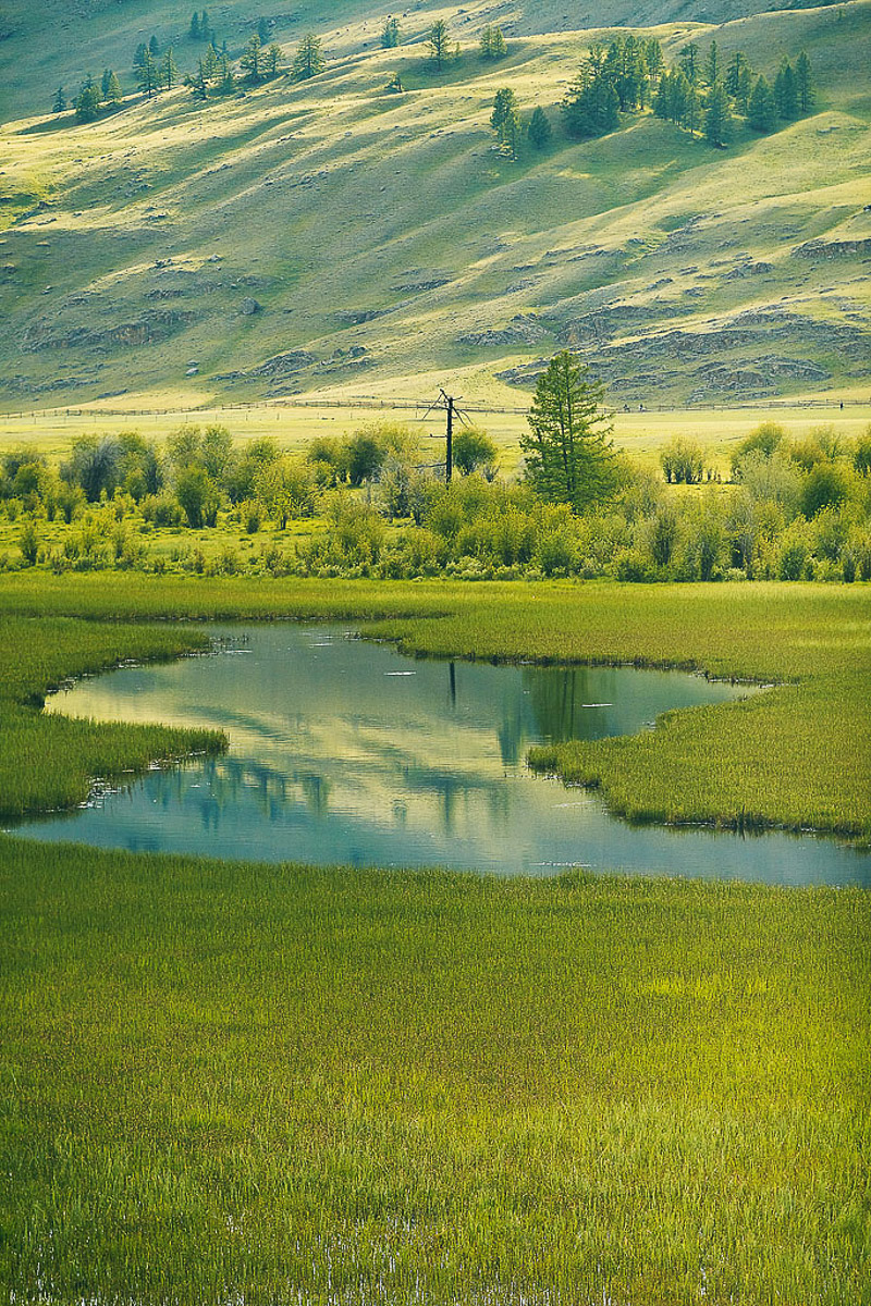 7 владимирских ребят отправились на Алтай, причем на русской машине. Добирались до места земляки 3 дня. По пути посетили множество городов. А по приезде рассказали нам, как сэкономить и что посмотреть в одном из самых красивых регионов страны.
