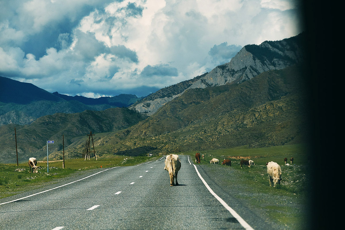 7 владимирских ребят отправились на Алтай, причем на русской машине. Добирались до места земляки 3 дня. По пути посетили множество городов. А по приезде рассказали нам, как сэкономить и что посмотреть в одном из самых красивых регионов страны.