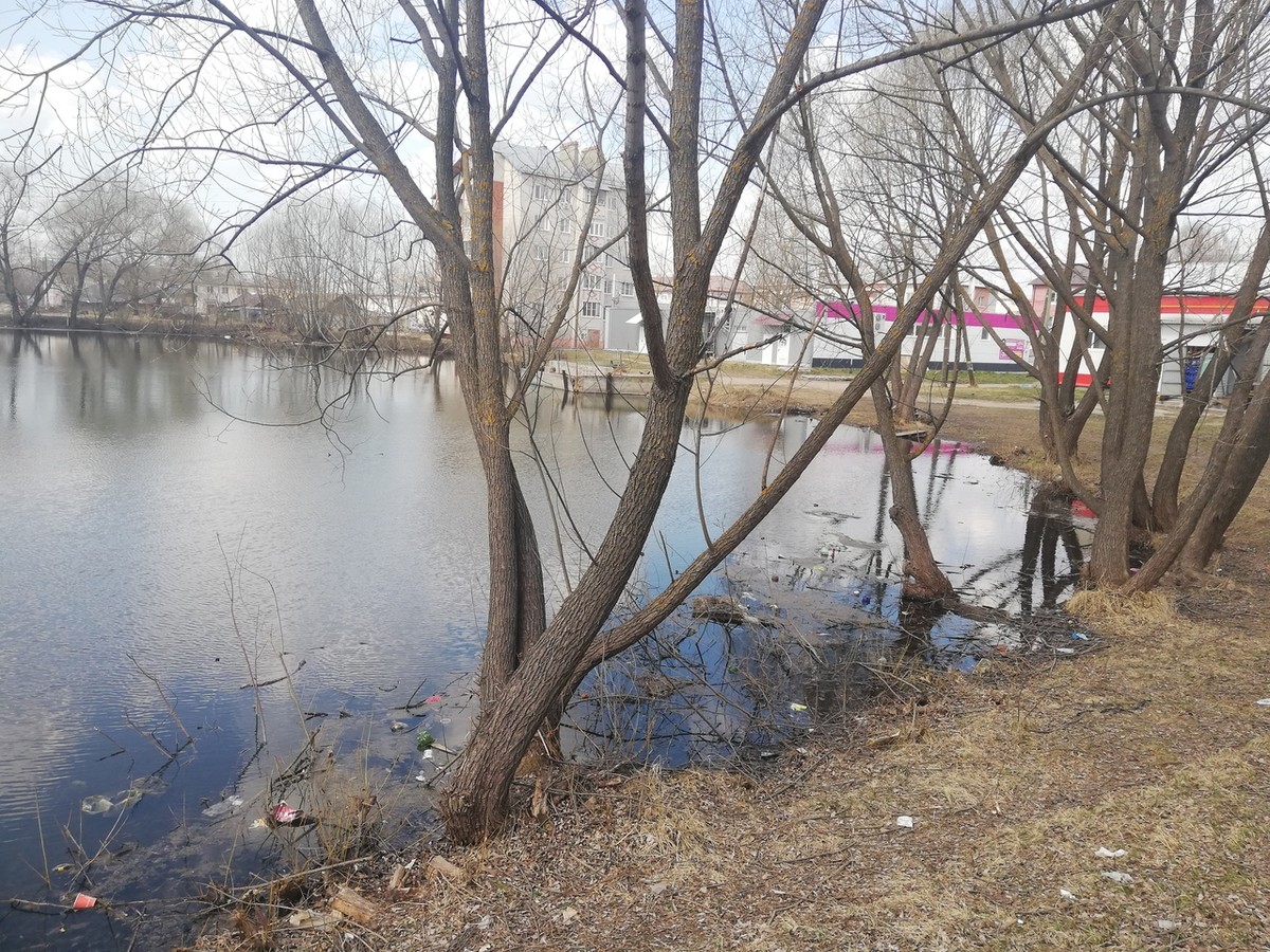 Удобные лежаки для принятия солнечных ванн, терраса над водой, дорожки для прогулок - 29 июня в Камешково появилась новая благоустроенная набережная на городском пруду. Осталось только дождаться по-настоящему летней погоды и - вперед, за загаром!