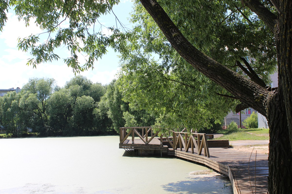 Удобные лежаки для принятия солнечных ванн, терраса над водой, дорожки для прогулок - 29 июня в Камешково появилась новая благоустроенная набережная на городском пруду. Осталось только дождаться по-настоящему летней погоды и - вперед, за загаром!