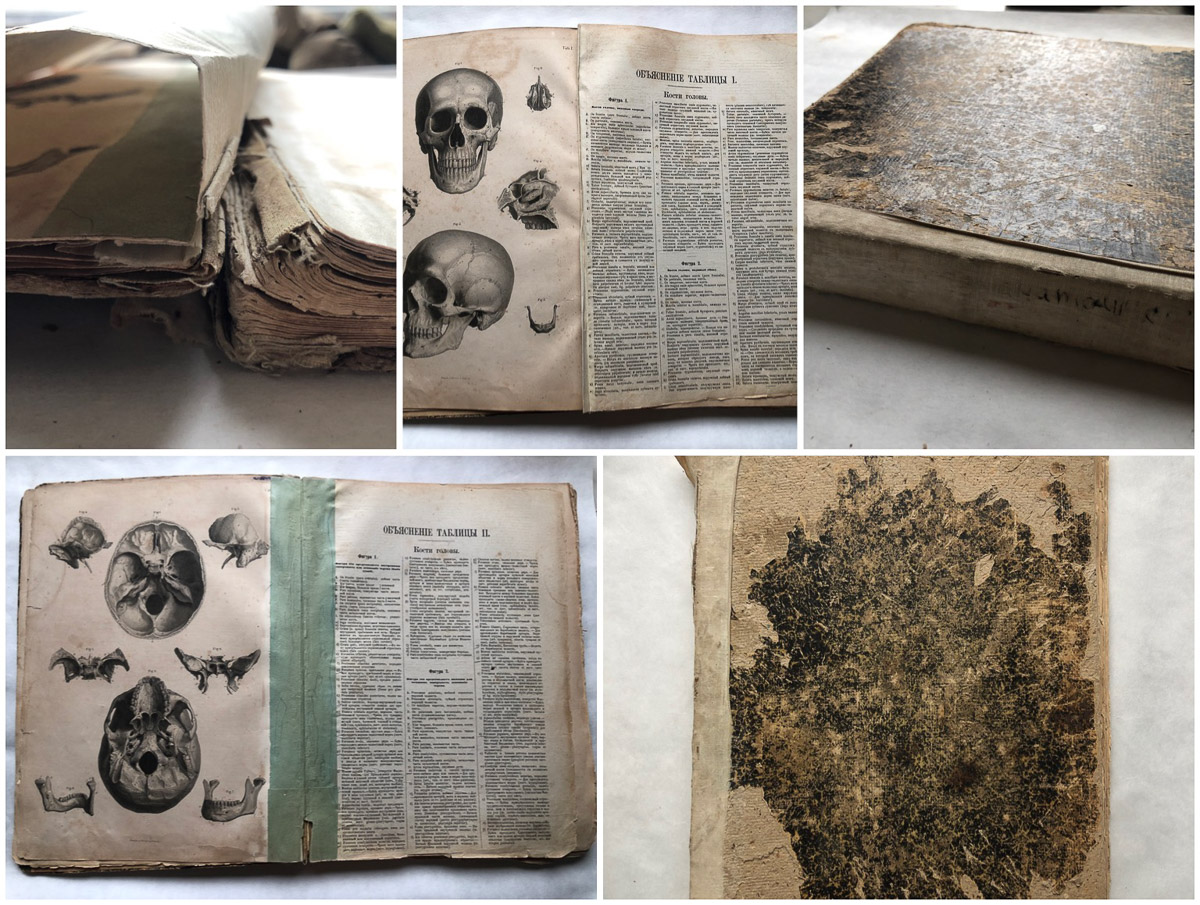 Реставраторы Валерия Измайлова и Анастасия Глуцкая рассказали о тонкостях своей работы.