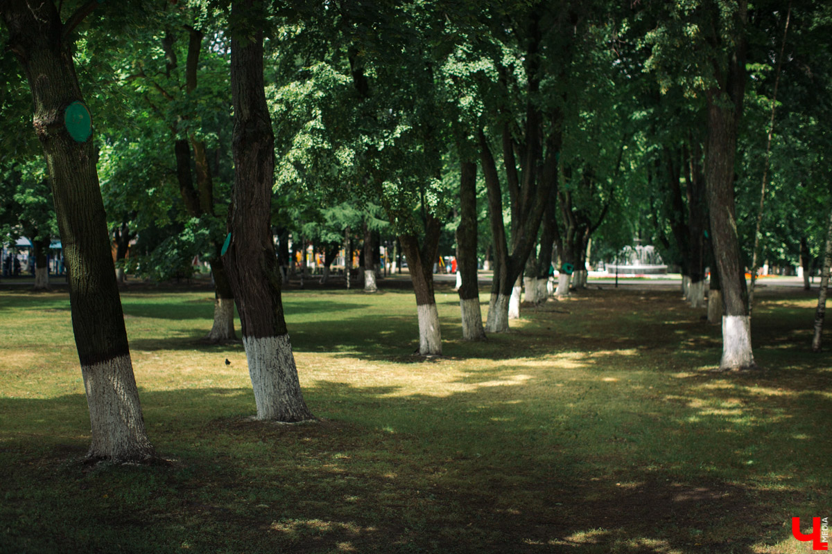 Энтузиаст Валерий Никонов предлагает установить памятник городу Владимир. Знаток истории поясняет, почему его идею необходимо воплотить.