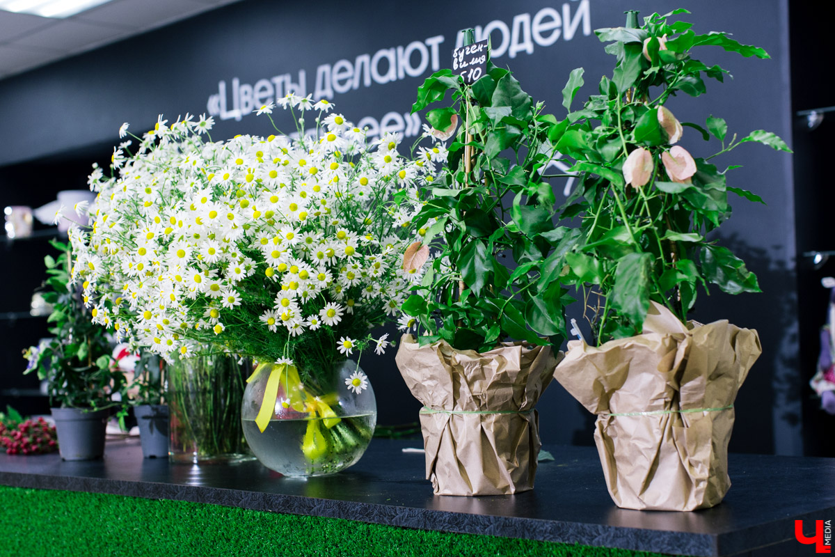 Во Владимире открылся магазин цветов Юлии Красновой. Главные достоинства - самый большой в области холодильник, низкие цены и прямые поставки экзотических цветов.