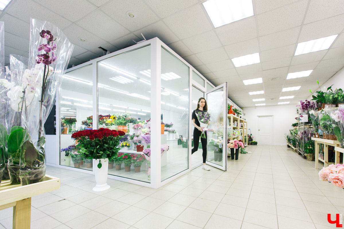 Во Владимире открылся магазин цветов Юлии Красновой. Главные достоинства - самый большой в области холодильник, низкие цены и прямые поставки экзотических цветов.