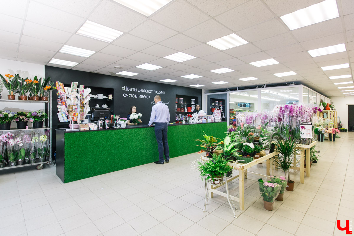 Во Владимире открылся магазин цветов Юлии Красновой. Главные достоинства - самый большой в области холодильник, низкие цены и прямые поставки экзотических цветов.