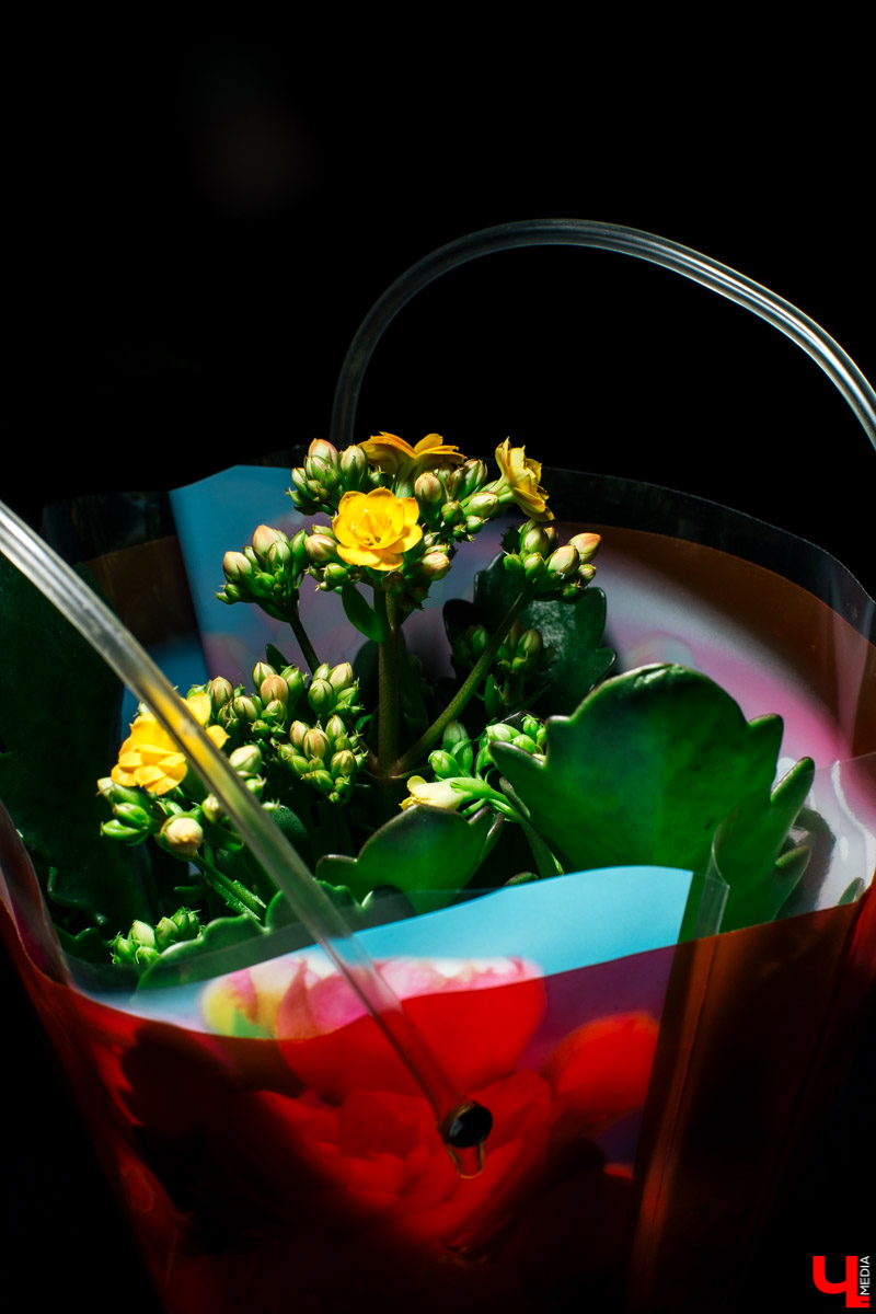 Во Владимире открылся магазин цветов Юлии Красновой. Главные достоинства - самый большой в области холодильник, низкие цены и прямые поставки экзотических цветов.