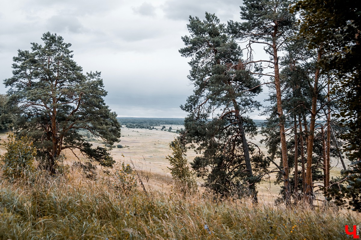 Экскурсия по имению Безобразовых в селе Патакино. Фотографии руин и сохранившихся построек