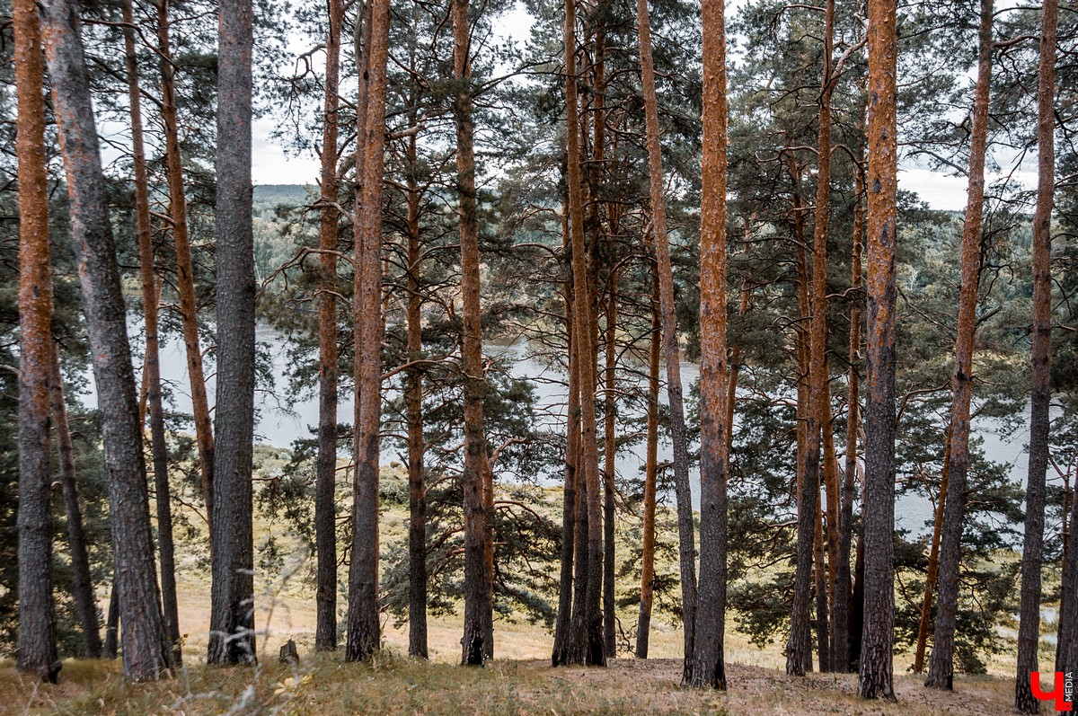 Экскурсия по имению Безобразовых в селе Патакино. Фотографии руин и сохранившихся построек