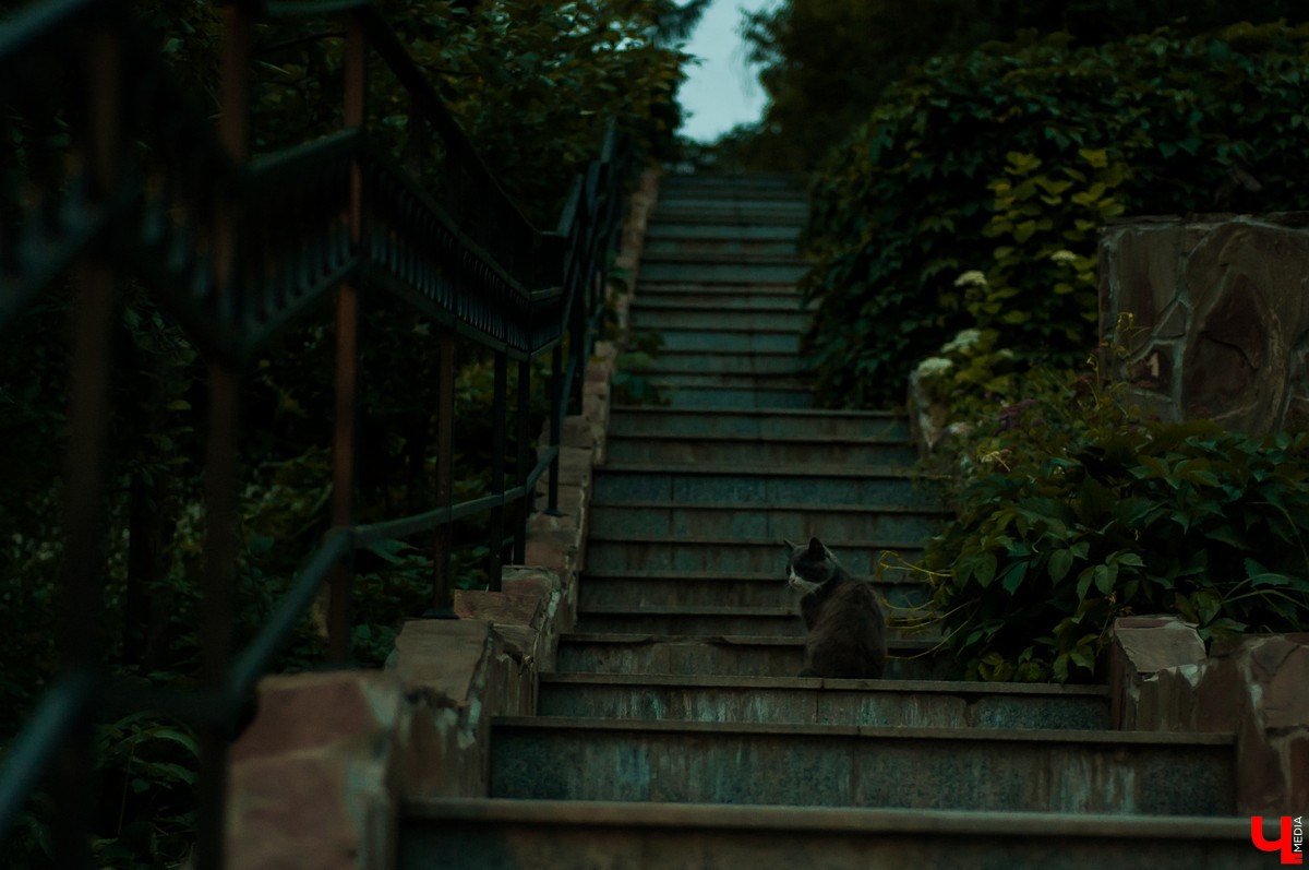 В Патриаршем саду Владимира прошла ночь Ивана Купалы. Владимирцы увидели выступления приглашенных артистов и огненное шоу.