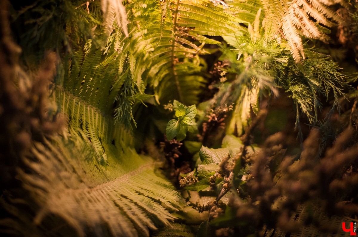 В Патриаршем саду Владимира прошла ночь Ивана Купалы. Владимирцы увидели выступления приглашенных артистов и огненное шоу.