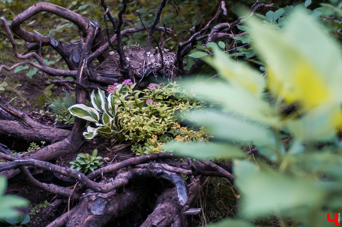В Патриаршем саду Владимира прошла ночь Ивана Купалы. Владимирцы увидели выступления приглашенных артистов и огненное шоу.
