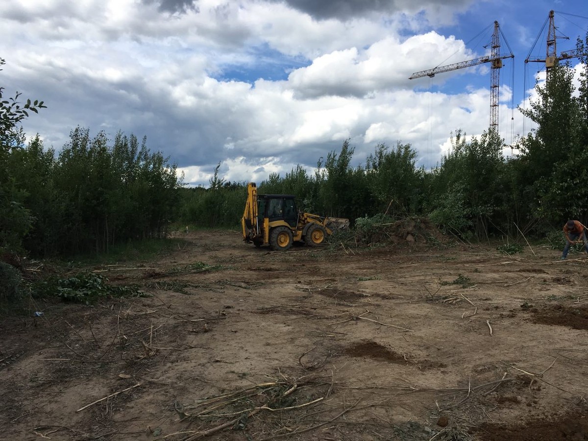 На днях возле парка “Дружба” вырубили просеку. Возможно, это первый этап застройки зеленой зоны жилыми домами.