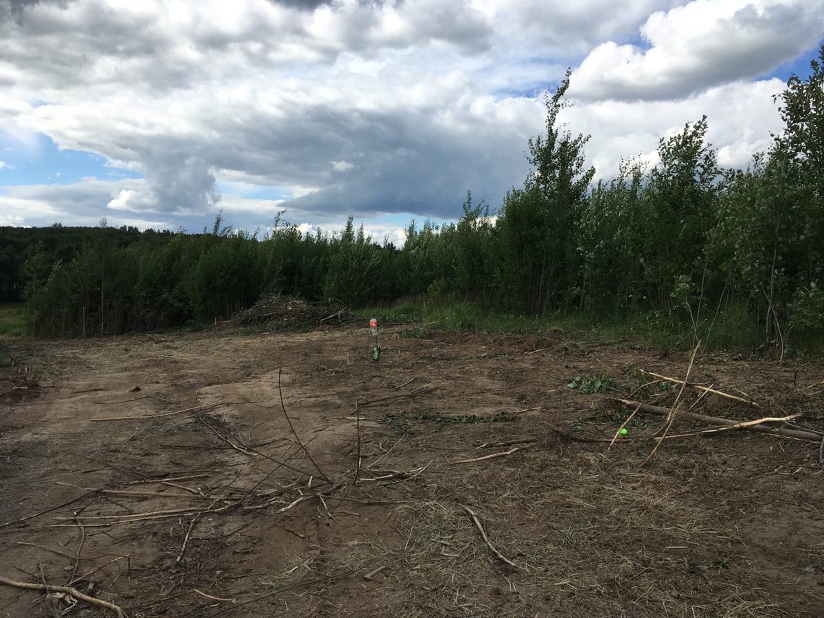 На днях возле парка “Дружба” вырубили просеку. Возможно, это первый этап застройки зеленой зоны жилыми домами.